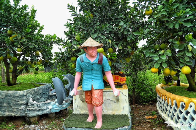 Độc lạ chậu bưởi h&igrave;nh rồng gi&aacute; trăm triệu đồng - Ảnh 4.
