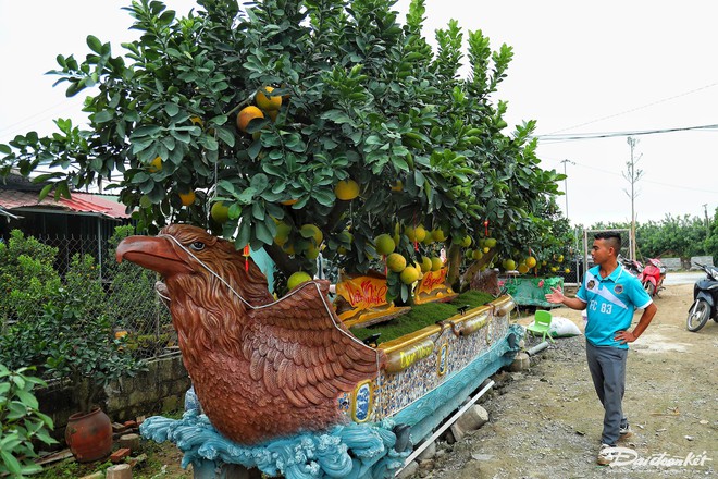 Độc lạ chậu bưởi h&igrave;nh rồng gi&aacute; trăm triệu đồng - Ảnh 3.