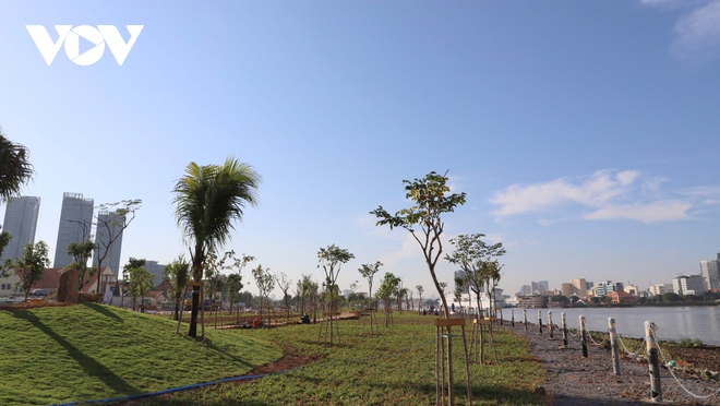 Cánh đồng hoa hướng dương dọc bờ sông Sài Gòn sẽ đón khách từ 23/12 - Ảnh 2.