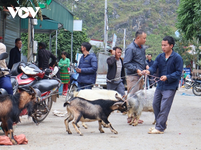 Lên cao nguyên đá Hà Giang đừng quên ghé chợ phiên Mèo Vạc - Ảnh 3.