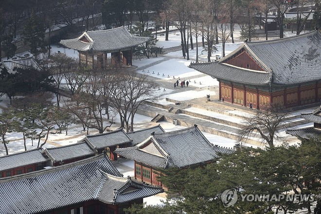 Chùm ảnh: Hàn Quốc đóng băng trong sóng lạnh Bắc Cực, băng tuyết trắng xóa bao phủ nhiều thành phố - Ảnh 2.