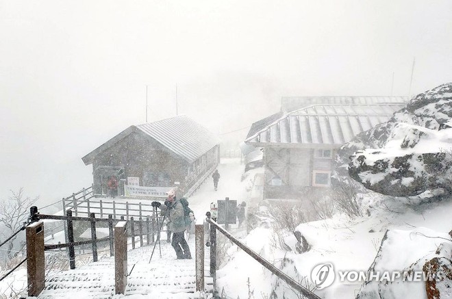 Chùm ảnh: Hàn Quốc đóng băng trong sóng lạnh Bắc Cực, băng tuyết trắng xóa bao phủ nhiều thành phố - Ảnh 8.