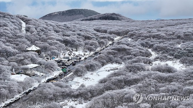 Chùm ảnh: Hàn Quốc đóng băng trong sóng lạnh Bắc Cực, băng tuyết trắng xóa bao phủ nhiều thành phố - Ảnh 7.