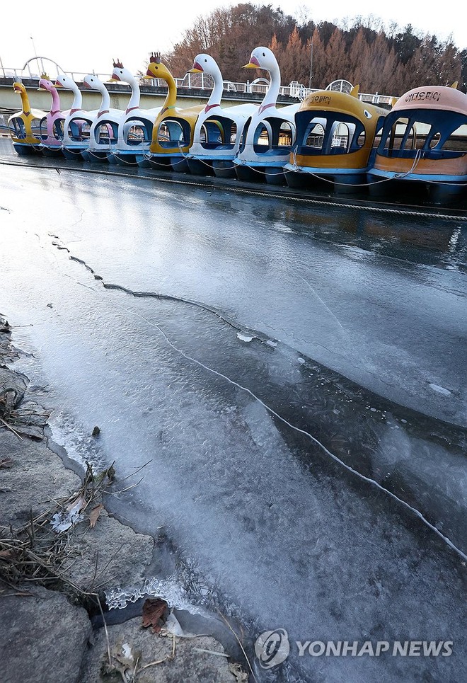 Chùm ảnh: Hàn Quốc đóng băng trong sóng lạnh Bắc Cực, băng tuyết trắng xóa bao phủ nhiều thành phố - Ảnh 5.