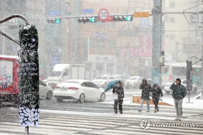 Chùm ảnh: Hàn Quốc đóng băng trong sóng lạnh Bắc Cực, băng tuyết trắng xóa bao phủ nhiều thành phố - Ảnh 4.