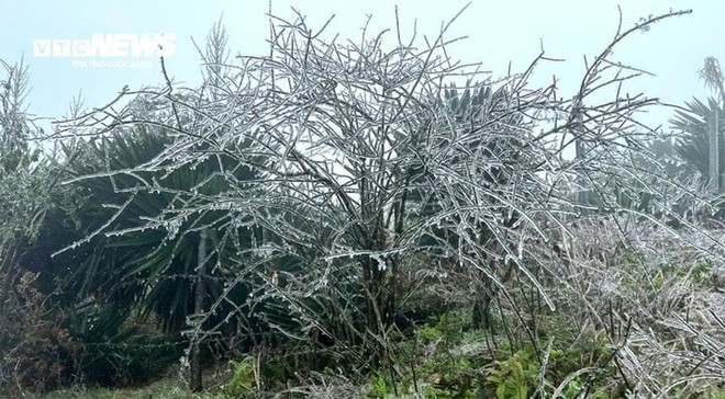 Mẫu Sơn xuống âm 2,2 độ C, đêm nay miền Bắc rét nhất đợt này - Ảnh 1.