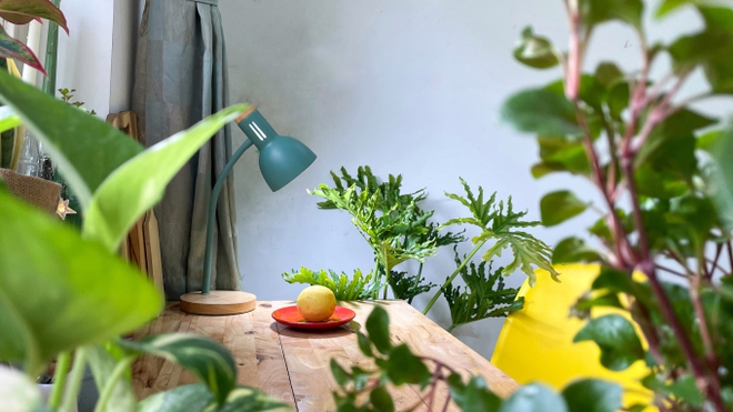 Dọn đồ chuyển đi gấp v&igrave; vợ chồng chủ nh&agrave;&hellip; ly h&ocirc;n - Ảnh 3.