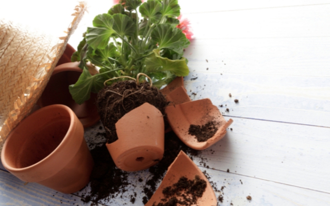 Bốn thứ để trước cửa sẽ xua đuổi Thần T&agrave;i v&agrave;o nh&agrave;, c&oacute; thứ quen thuộc m&agrave; chẳng mấy ai để &yacute; - Ảnh 4.