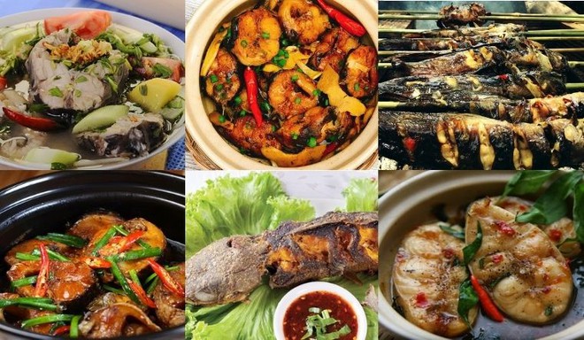 Loại c&aacute; n&agrave;y rất phổ biến, ngon hơn c&aacute; l&oacute;c v&agrave; gi&agrave;u dinh dưỡng hơn mai r&ugrave;a nhưng thường kh&ocirc;ng được ưa th&iacute;ch - Ảnh 2.