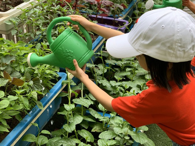 9 kỹ năng sống quan trọng cha mẹ cần dạy con, dù đi đâu trẻ cũng có thể sống tốt - Ảnh 3.