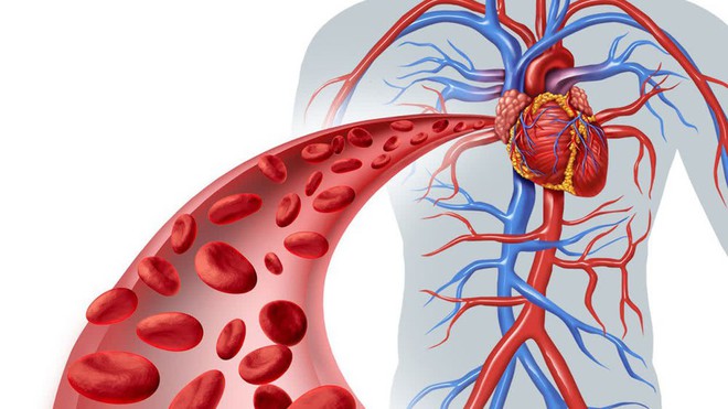 Khi mạch máu gặp vấn đề, tay và chân sẽ phát ra tín hiệu cảnh báo, nếu có cần đi khám sớm - Ảnh 1.