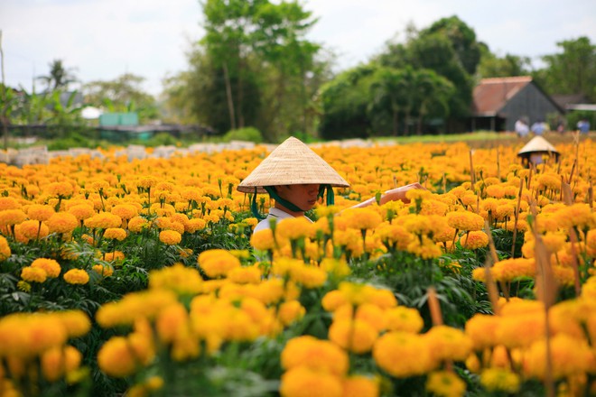 Loạt tour du lịch Tết khởi hành về miền Tây sông nước với giá dưới 3 triệu - Ảnh 1.