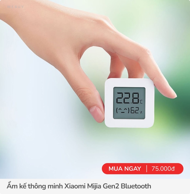 4 kiểu đồ Xiaomi đáng mua sau Tết, có 1 thứ người miền Bắc rất nên dùng trong mùa này - Ảnh 3.