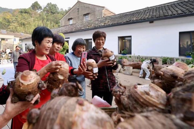 Bí quyết sống thọ, tránh xa ung thư của dân làng cứ 100 người thì có 1 người trăm tuổi ở Trung Quốc - Ảnh 1.