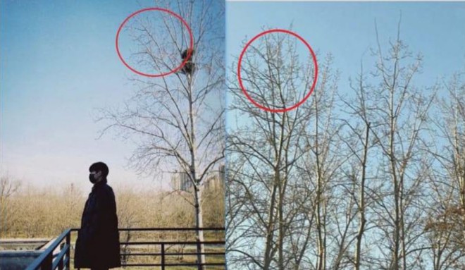 Bức ảnh cẩu huyết: Rất người qua đường nhưng lại l&agrave; nữ ch&iacute;nh chen ngang chuyện t&igrave;nh Trần Phi Vũ - &Acirc;u Dương Na Na - Ảnh 6.