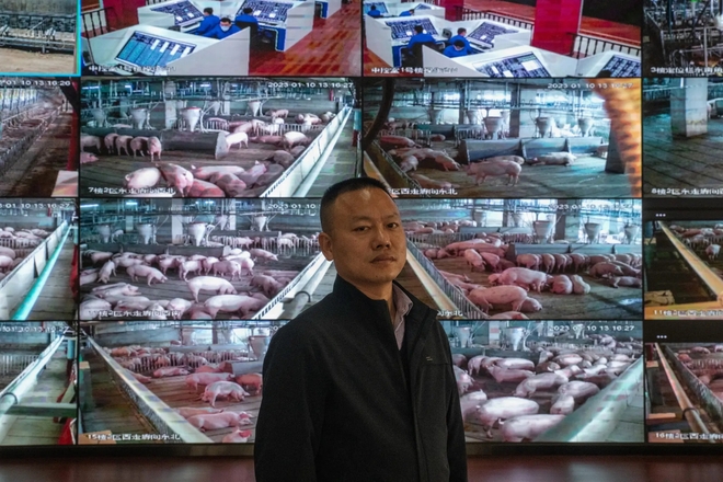 Bên trong toà nhà nuôi lợn sừng sững ở Trung Quốc - Ảnh 4.