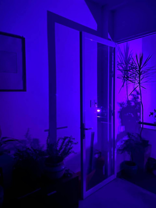 Bị sa thải nhưng vẫn chi 130 triệu cải tạo nhà thuê, tại sao vậy? - Ảnh 5.