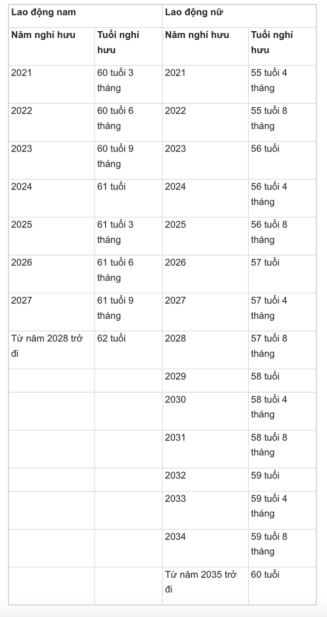 Tuổi nghỉ hưu trong năm 2023 người lao động cần biết - Ảnh 2.