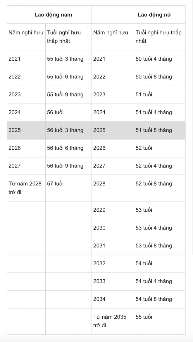 Tuổi nghỉ hưu trong năm 2023 người lao động cần biết - Ảnh 3.