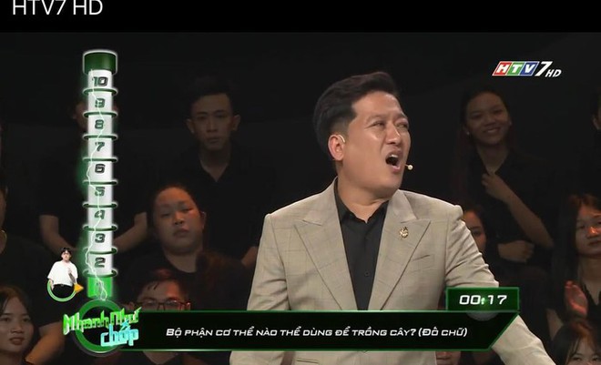 C&acirc;u đố tiếng Việt: Bộ phận cơ thể n&agrave;o c&oacute; thể d&ugrave;ng để trồng c&acirc;y? - Ảnh 1.