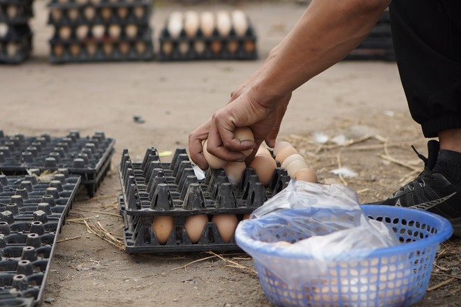Sự thật chuyện giải cứu trứng gà 65.000 đồng 30 quả tràn lan trên vỉa hè Hà Nội - Ảnh 6.
