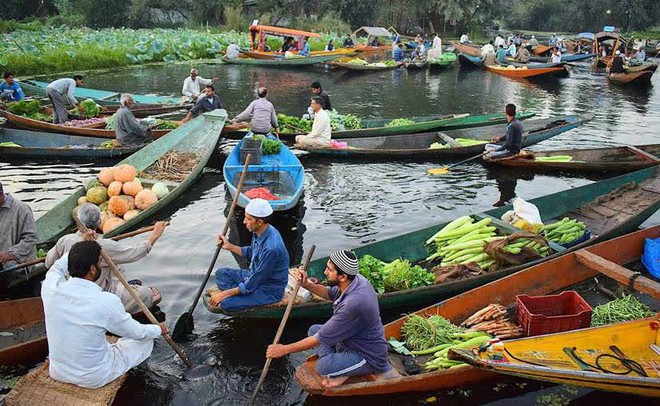 Người phụ nữ Việt kể chuyện lạ khi đi chợ với mẹ chồng ở Ấn Độ, lượn khắp chỉ để mua 2 thứ quan trọng này - Ảnh 5.