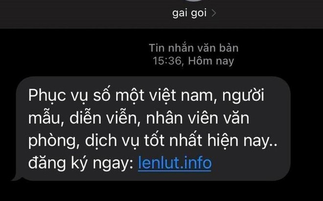 Nở rộ tin nhắn lừa đảo tình một đêm - Ảnh 1.