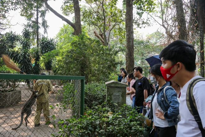 Người dân TP.HCM rủ nhau đến “thăm” bầy thú ở Thảo Cầm Viên sau khi sở thú này đạt doanh thu kỷ lục cao nhất lịch sử - Ảnh 16.