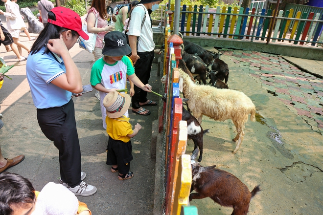 Người dân TP.HCM rủ nhau đến “thăm” bầy thú ở Thảo Cầm Viên sau khi sở thú này đạt doanh thu kỷ lục cao nhất lịch sử - Ảnh 15.