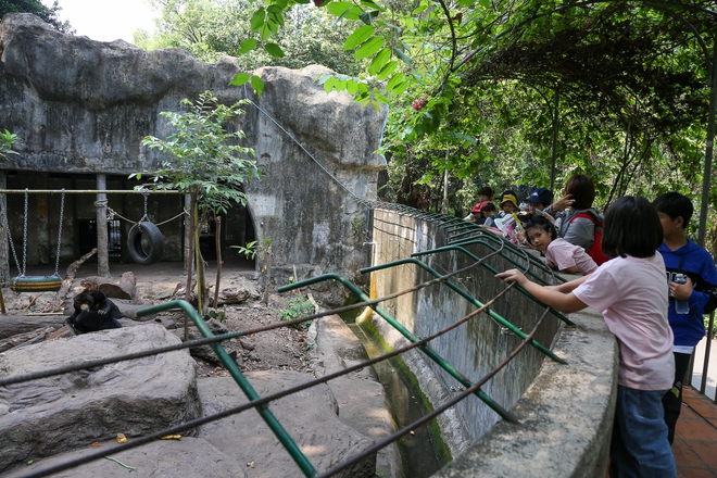 Người dân TP.HCM rủ nhau đến “thăm” bầy thú ở Thảo Cầm Viên sau khi sở thú này đạt doanh thu kỷ lục cao nhất lịch sử - Ảnh 12.