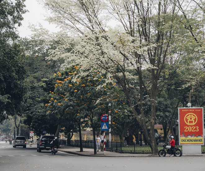 Hà Nội mùa này: Nhìn đâu cũng thấy lãng mạn, trời đẹp chỉ muốn bỏ tất cả mà đi chơi - Ảnh 2.