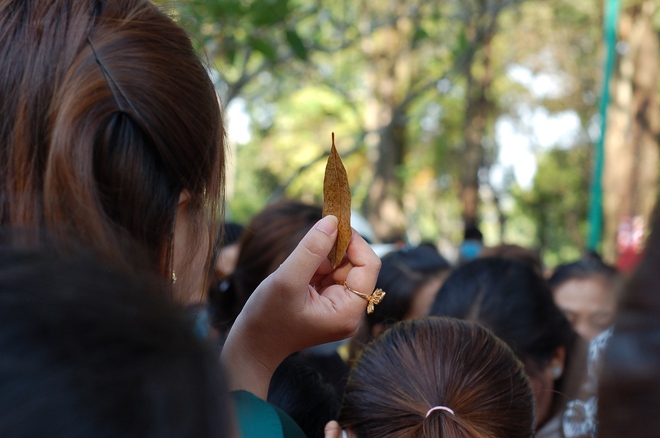 Hàng nghìn người đổ về phiên chợ mua đồ ăn bằng lá độc nhất vô nhị ở miền Tây - Ảnh 5.