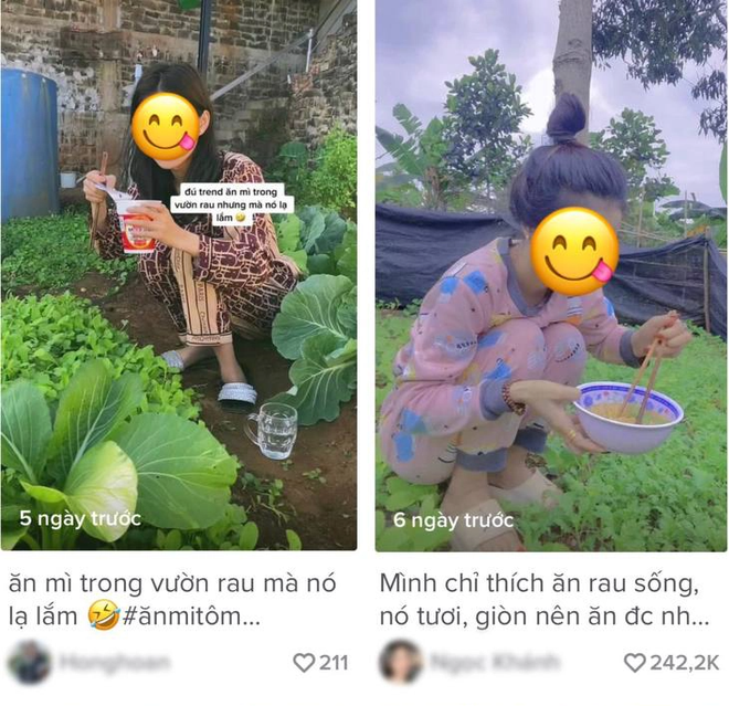 Giới trẻ Việt rần rần với trào lưu ăn mì tôm giữa vườn rau nhưng dân mạng lại lo lắng bởi 1 vấn đề - Ảnh 3.