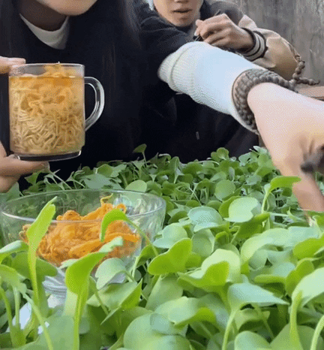 Giới trẻ Việt rần rần với trào lưu ăn mì tôm giữa vườn rau nhưng dân mạng lại lo lắng bởi 1 vấn đề - Ảnh 9.