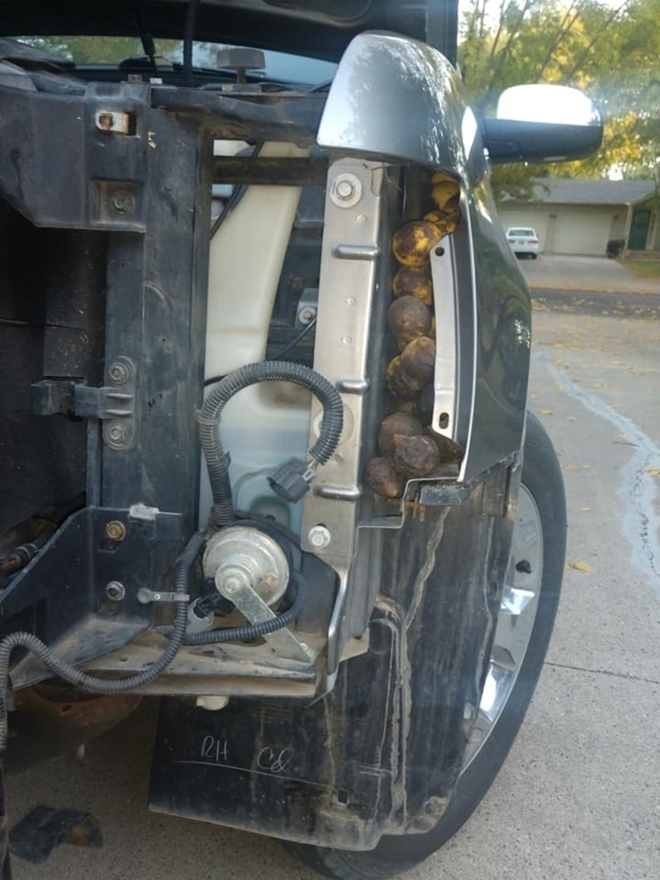 Mở bung máy xe, khổ chủ tá hỏa phát hiện 147kg quả óc chó bị giấu khắp động cơ - Ảnh 3.