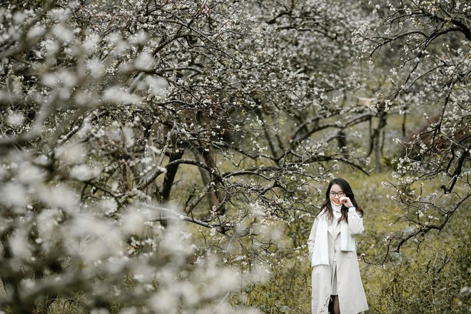 Mộc Châu trở thành điểm siêu hot dịp đầu xuân với những cây hoa mận phủ trắng núi đồi - Ảnh 6.
