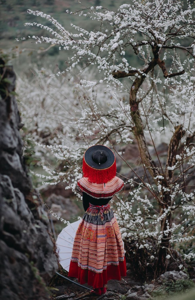 Mộc Châu trở thành điểm siêu hot dịp đầu xuân với những cây hoa mận phủ trắng núi đồi - Ảnh 5.