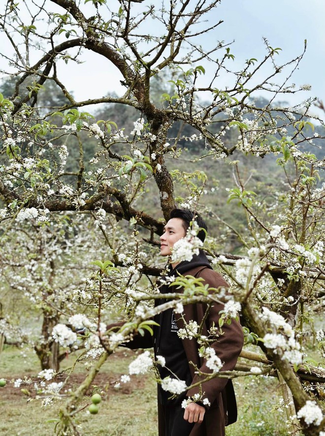 Mộc Châu trở thành điểm siêu hot dịp đầu xuân với những cây hoa mận phủ trắng núi đồi - Ảnh 4.