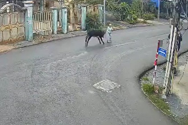 Clip: B&ograve; đi&ecirc;n đại n&aacute;o ở Củ Chi h&uacute;c cụ b&agrave; bất tỉnh, b&eacute; 7 th&aacute;ng tuổi văng khỏi v&otilde;ng - Ảnh 1.