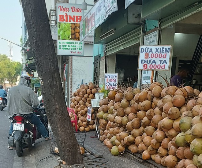 Vì sao dừa tươi rẻ bèo giữa mùa nắng nóng gay gắt? - Ảnh 2.