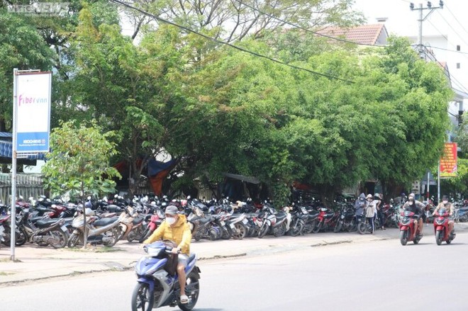 Học sinh v&ocirc; tư vượt đ&egrave;n đỏ, kh&ocirc;ng mũ bảo hiểm như chưa hề c&oacute; luật giao th&ocirc;ng - Ảnh 5.