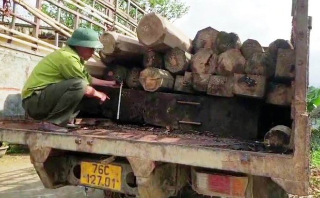 2 kiểm l&acirc;m bị l&acirc;m tặc đ&aacute;nh nhập viện, dọa giết - Ảnh 1.