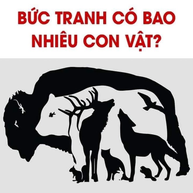 Bức tranh dưới đây có bao nhiêu con vật? - Ảnh 1.