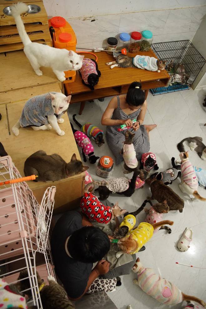 Đôi bạn trẻ dành hết số tiền cưới thành lập trạm cứu hộ mèo hoang ở Sài Gòn - Ảnh 4.
