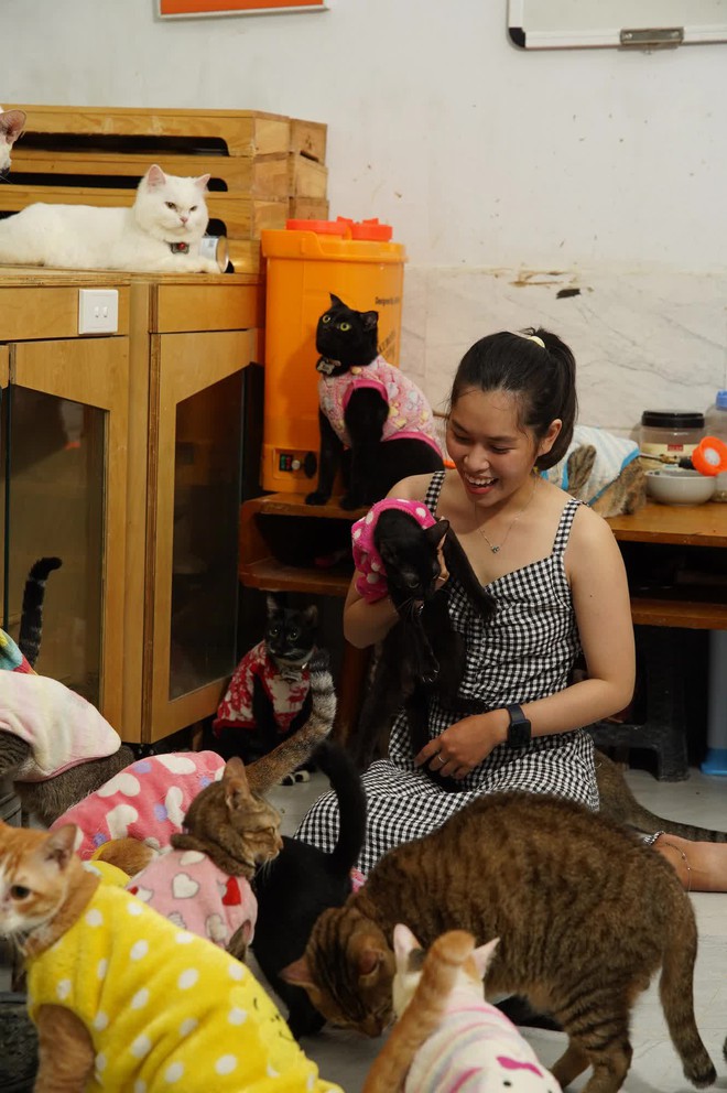Đôi bạn trẻ dành hết số tiền cưới thành lập trạm cứu hộ mèo hoang ở Sài Gòn - Ảnh 6.