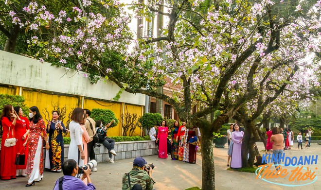 Lời đồn l&agrave;m nhiếp ảnh chụp cho chị em v&agrave;o mỗi m&ugrave;a hoa c&oacute; thể kiếm 100 triệu/th&aacute;ng v&agrave; sự thật từ những người trong cuộc - Ảnh 3.