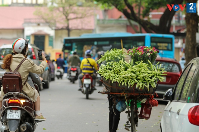 Tháng tư gọi mùa hoa loa kèn - Ảnh 1.