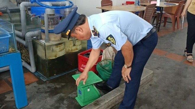Kiểm tra nhà hàng hải sản ở Khánh Hòa bị tố chặt chém 3 khách Trung Quốc - Ảnh 1.