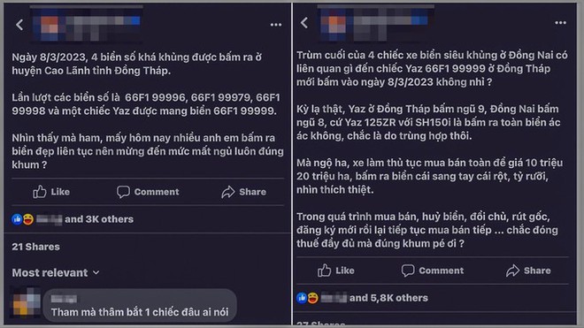 Tổ thanh tra đặc biệt v&agrave;o cuộc vụ 4 biển số xe si&ecirc;u đẹp ở Đồng Th&aacute;p - Ảnh 2.