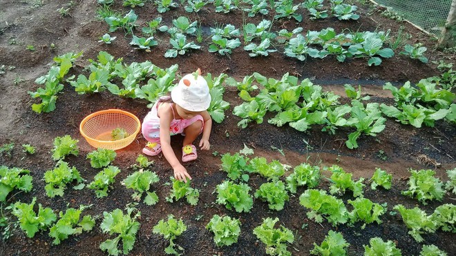 Ai cũng can ngăn cô vợ bán nhà mặt phố để mua nhà hoang cuối xóm, khi nhìn kết quả thì vô cùng kinh ngạc - Ảnh 5.